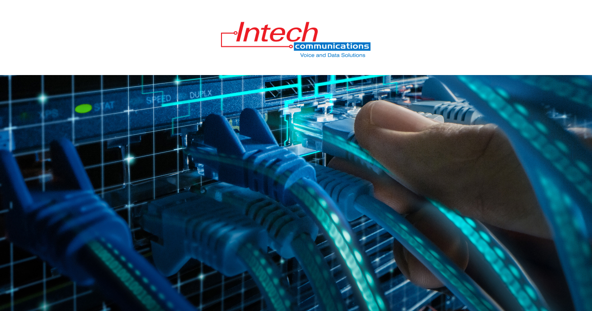 Plugging an Ethernet cable into a network switch, ensuring high-speed and reliable networking solutions.